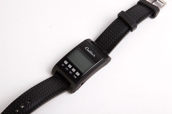 Thumbnail in Gallery Listing